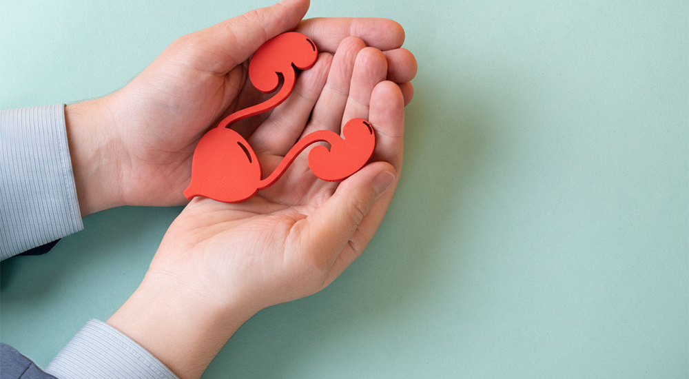 泌尿器科について